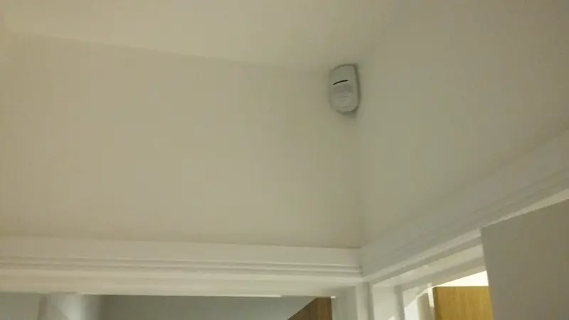Pet sensitive motion detector